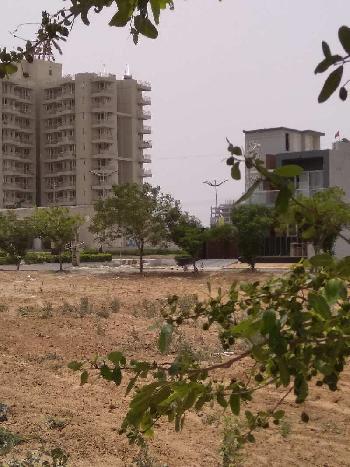 294 Sq. Yards Residential Plot for Sale in Sector 5, Dharuhera