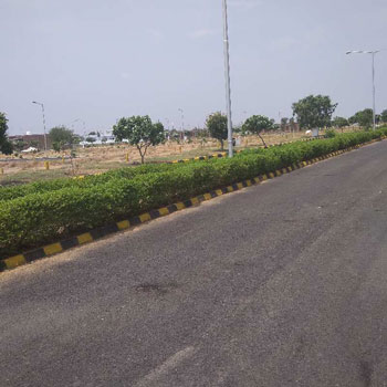 251 Sq. Yards Residential Plot for Sale in Sector 19, Dharuhera