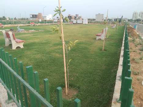320 Sq. Yards Residential Plot for Sale in Sector 19, Dharuhera