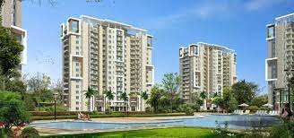 3 BHK Flats & Apartments for Sale in Sector 83, Gurgaon (3580 Sq.ft.)
