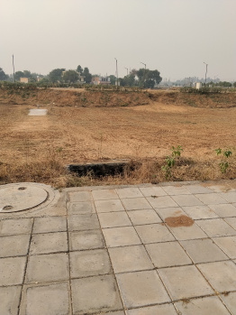251 Sq. Yards Residential Plot for Sale in Sector 23, Dharuhera