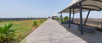 Residential land for sell in Dholera