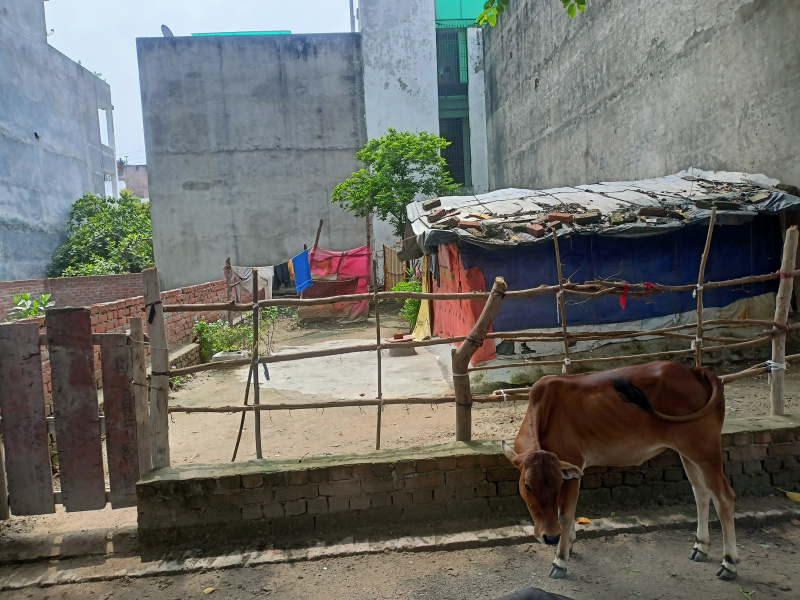 1250 Sq.ft. Residential Plot for Sale in Viraj Khand 5, Lucknow