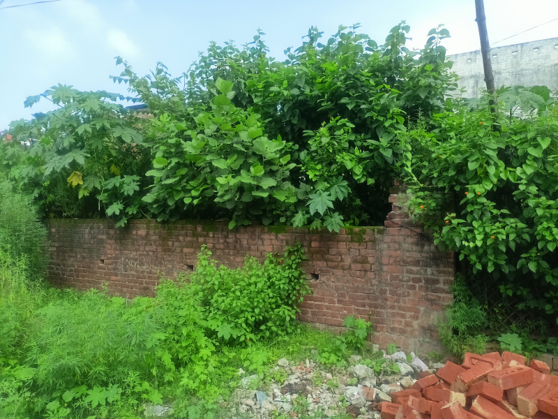 2065 Sq.ft. Residential Plot for Sale in Malhaur, Lucknow