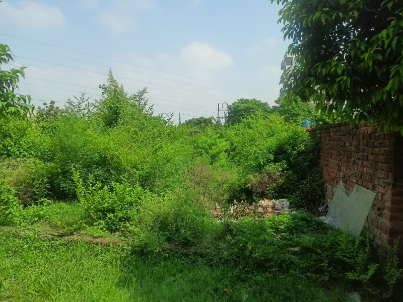 2080 Sq.ft. Residential Plot for Sale in Vikalp Khand 3, Lucknow