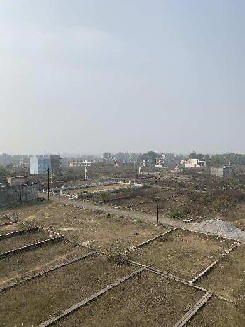 1250 Sq.ft. Residential Plot for Sale in Gomti Nagar Extension, Lucknow