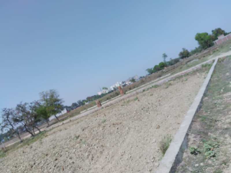 holi offer plots available