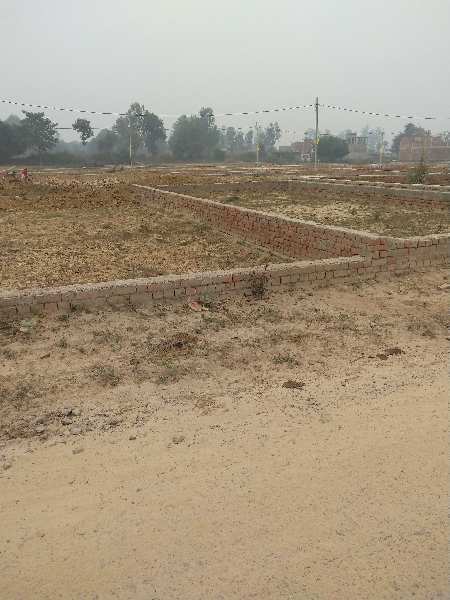 holi offer plots available