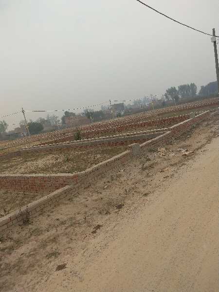 1350 Sq.ft. Residential Plot for Sale in Gomti Nagar Extension, Lucknow
