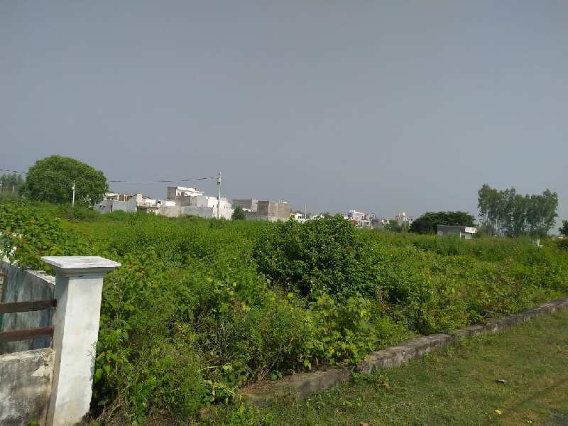 1450 Sq.ft. Residential Plot for Sale in Malhaur, Lucknow