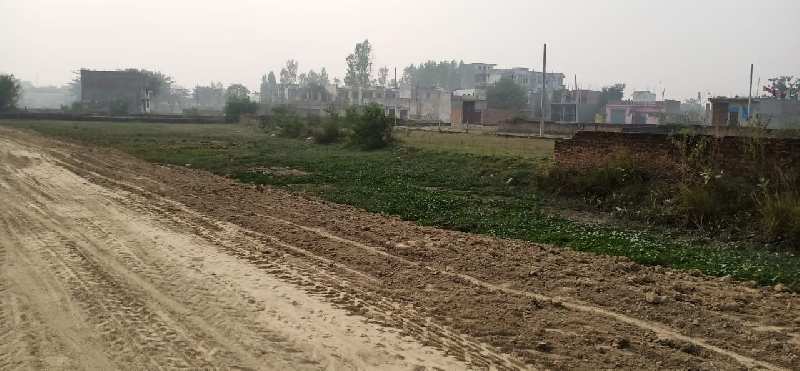 Residential Plot for Sale in Safedabad, Lucknow (1450 Sq.ft.)