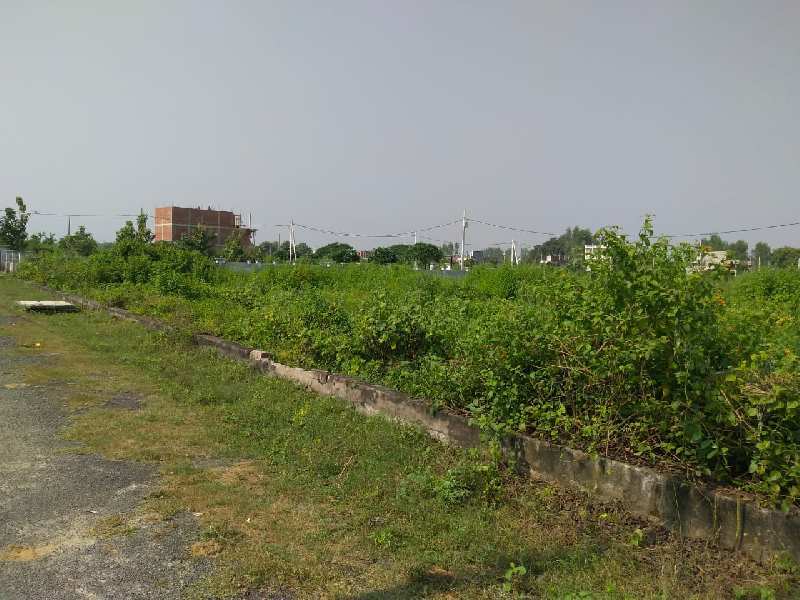 850 Sq.ft. Residential Plot for Sale in Malhaur, Lucknow