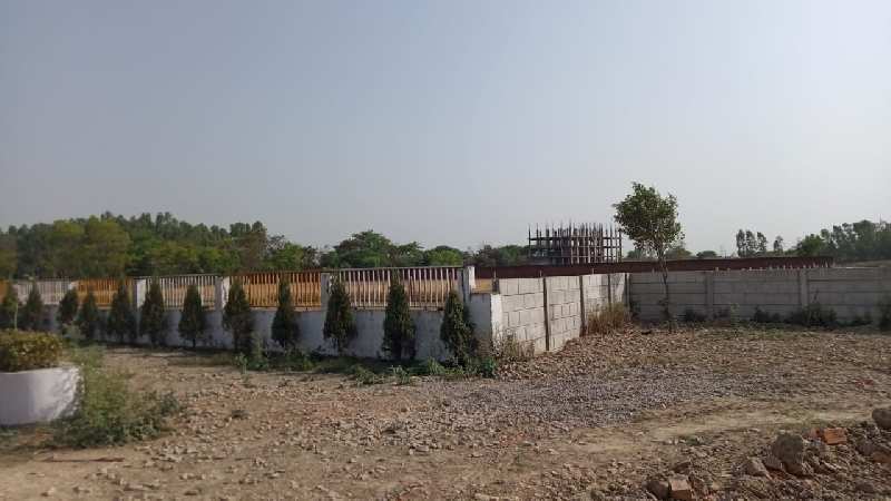 residential plot near ram Swaroop university