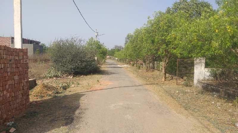 holi offer plots available in lolai