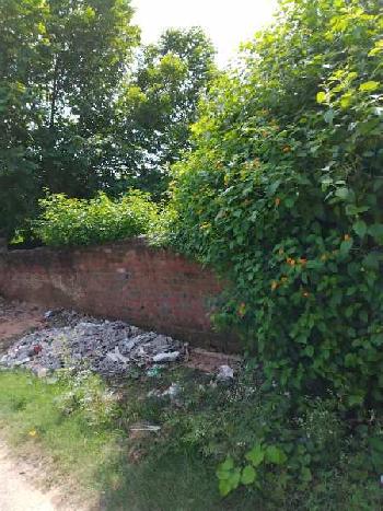residential plot are available sec 5 raghunath nagar colony