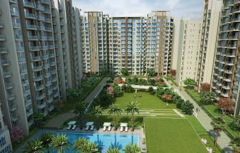 3 BHK Flats & Apartments for Rent in Sector 113, Gurgaon (1573 Sq.ft.)