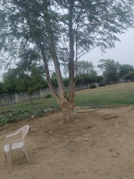 Farm house land and gated farm available for sell