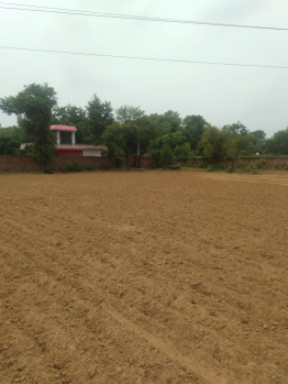 Agriculture land available for sell in bilaspur near NH-8