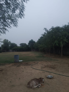 Property for sale in Sultanpur, Gurgaon