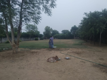 FARM LAND AVAILABLE FOR SALE IN TEEKLI VILLAGE