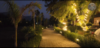 10 bega agriculture land available for sale on alwar Tijara highway rajasthan