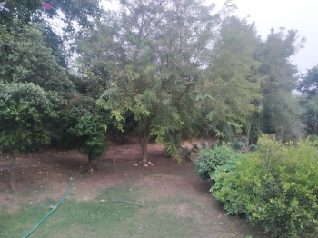 2 acre semi developed farm house in Bhelpha green farm bhondshi sohna road Gurgaon