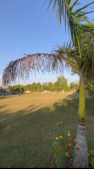 2 acre farm land available for sale in Badli Jhajjar Haryana