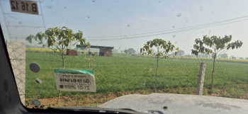 Agriculture land available for sale near vatika westin Resort Sohna Gurgaon