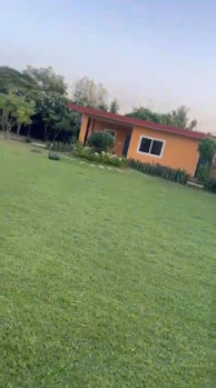 For Sale 3 acre farm land near badli bapaniya road