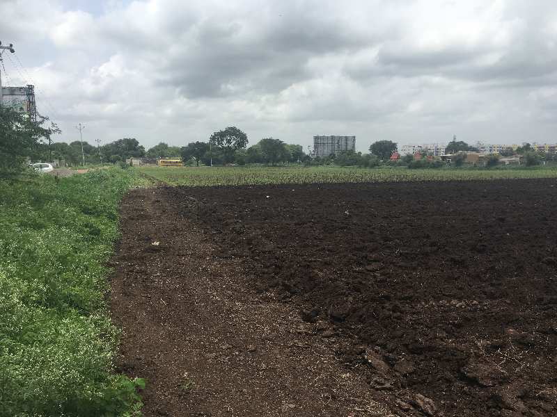16 Acre Agricultural/Farm Land for Sale in Maharashtra