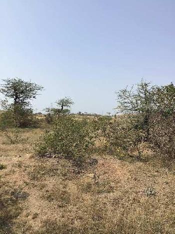 42 Acre Agricultural/Farm Land for Sale in Shirur, Pune