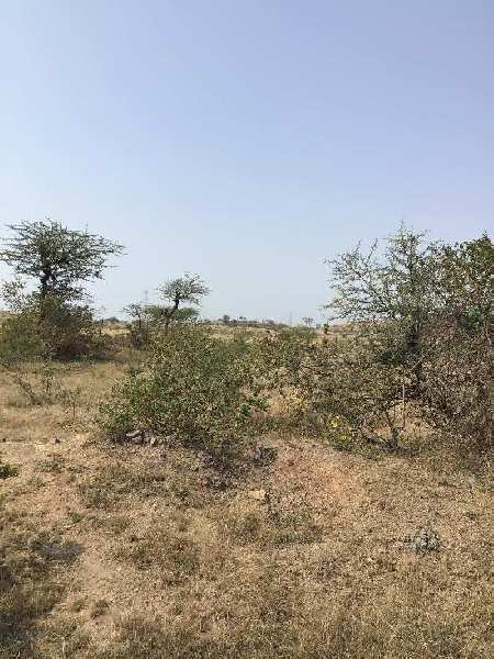 42 Acre Agricultural/Farm Land for Sale in Shirur, Pune