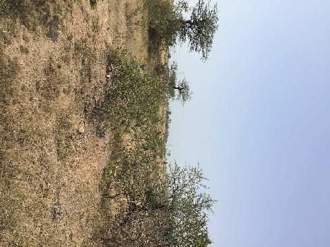 3 Acre Agricultural/Farm Land for Sale in Shikrapur, Pune