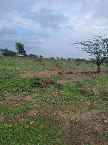 18 Acre Agricultural/Farm Land for Sale in Wadebolai, Pune