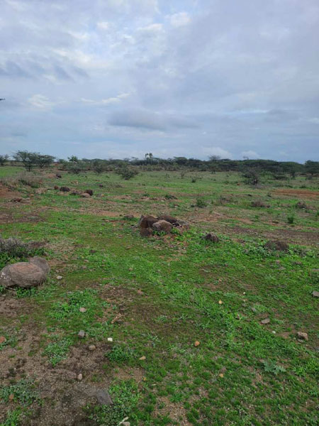 18 Acre Agricultural/Farm Land for Sale in Wadebolai, Pune