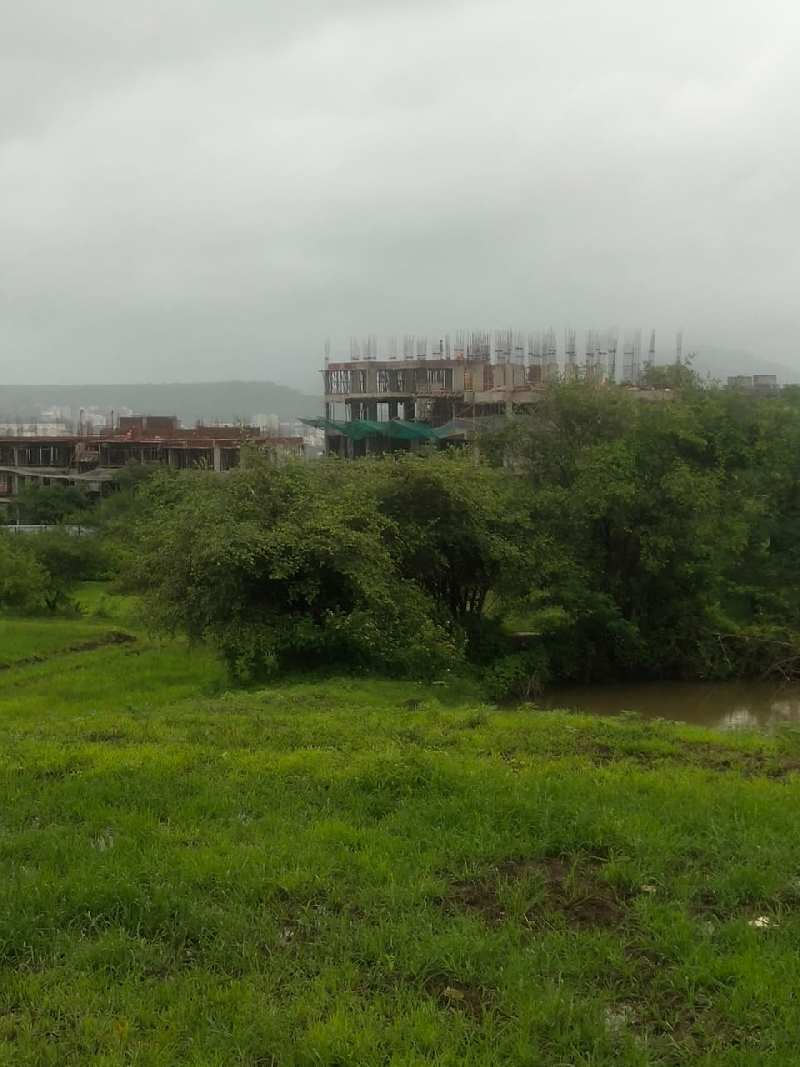 210 Acre Agricultural/Farm Land for Sale in Jejuri, Pune