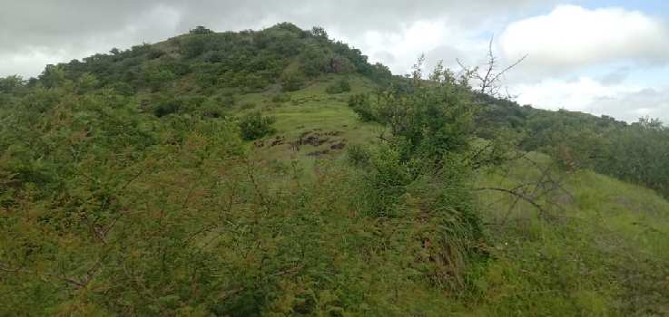 200 Acre Industrial Land / Plot for Sale in Shikrapur, Pune