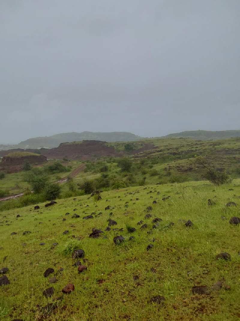 200 Acre Agricultural/Farm Land for Sale in Shirur, Pune