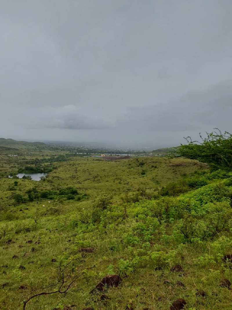 200 Acre Agricultural/Farm Land for Sale in Shirur, Pune