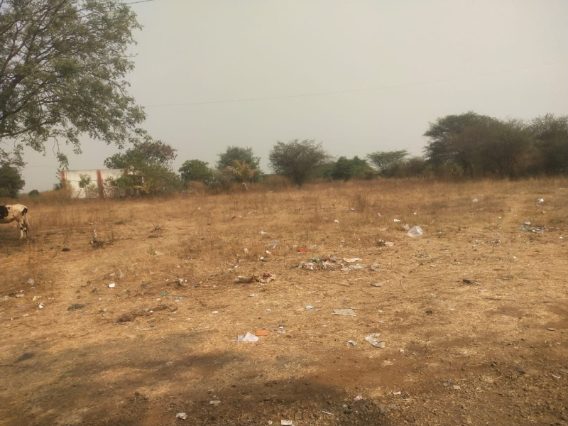 18 Acre Agricultural/Farm Land for Sale in Maharashtra