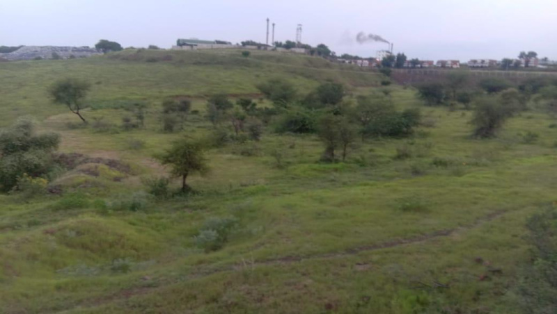 4 Acre Agricultural/Farm Land for Sale in Maharashtra