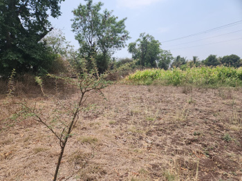 5 Acre Agricultural/Farm Land for Sale in Talegaon, Pune