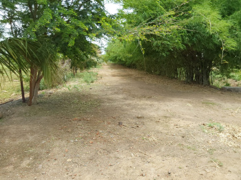 1 Acre Agricultural/Farm Land for Sale in Bavdhan Khurd, Pune