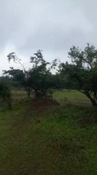 Agricultural/Farm Land for Sale in Maval, Pune (550 Acre)