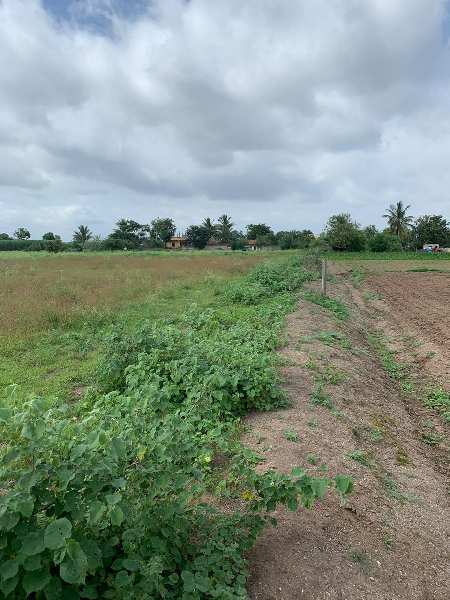 2 Acre Agricultural/Farm Land for Sale in Pimple, Pune