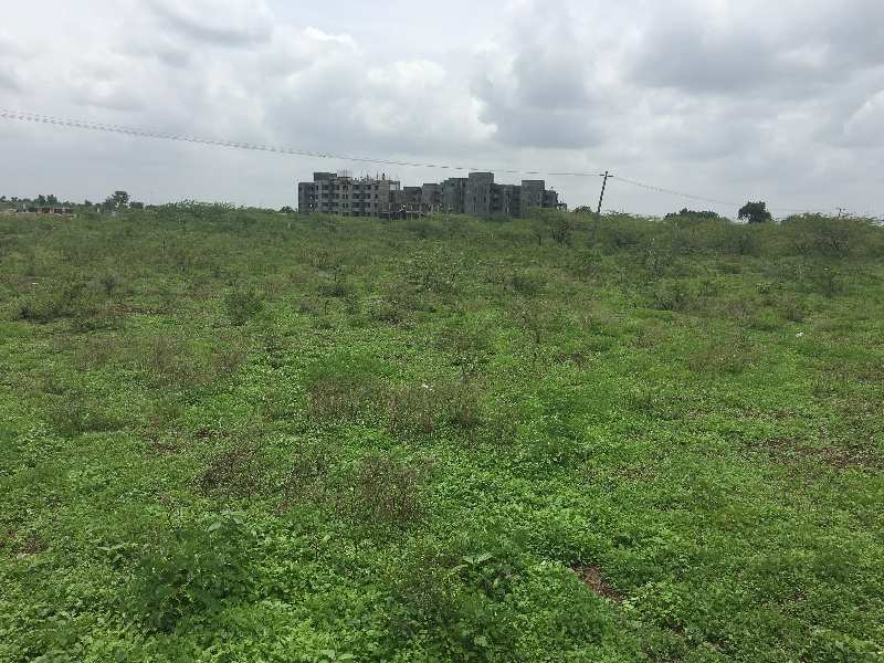 1 Acre Agricultural/Farm Land for Sale in Shirur, Pune