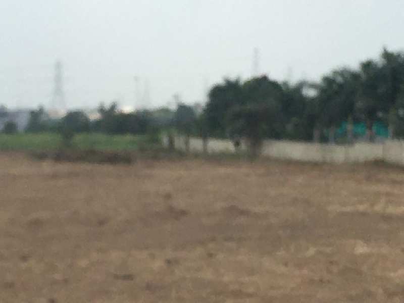 3 Acre Agricultural/Farm Land for Sale in Kondhanpur, Pune