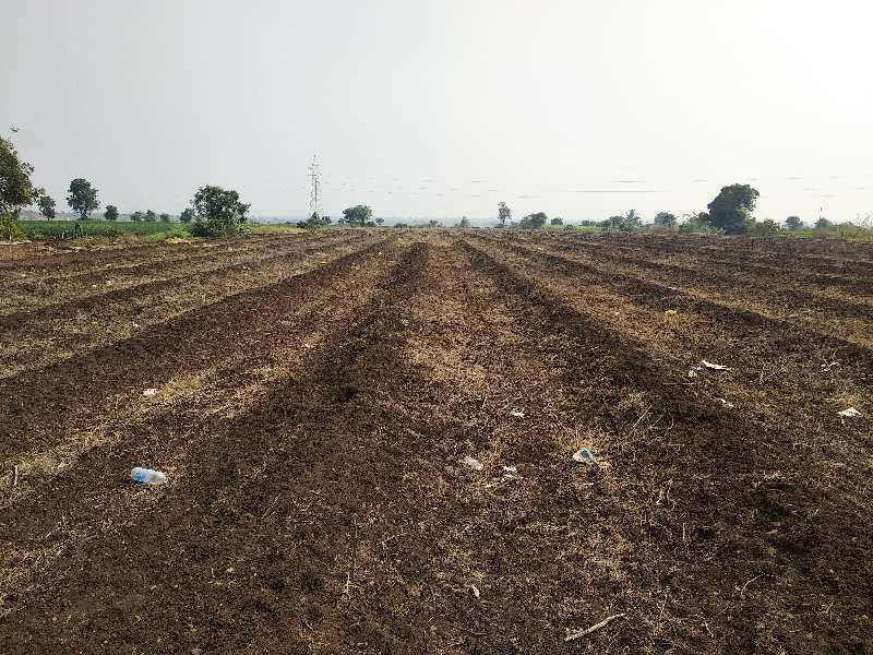 3 Acre Agricultural/Farm Land for Sale in Shirur, Pune