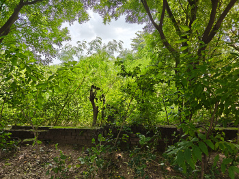 Property for sale in Manjhawali Village, Faridabad