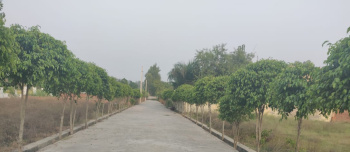 Property for sale in Brijghat, Moradabad